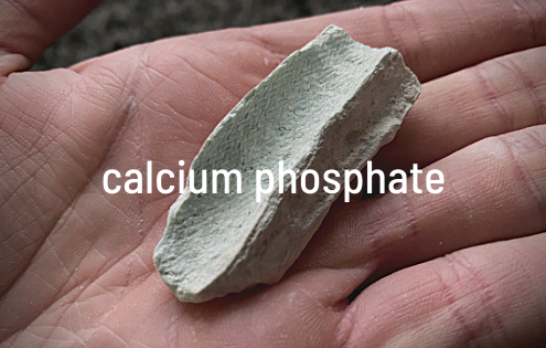 calcium phosphate, calcium phosphate scale, calcified filter