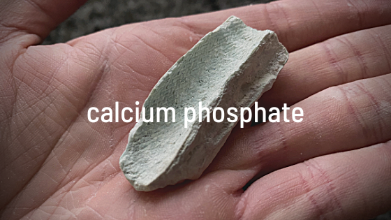Calcium Phosphate Scale | Next Generation Blog